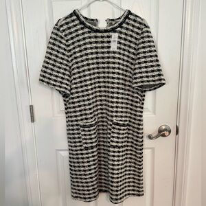 NWT Loft Shift Dress: Black and Ivory Checkered Size XL